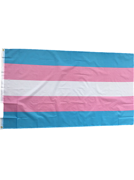 flaga osób transseksualnych