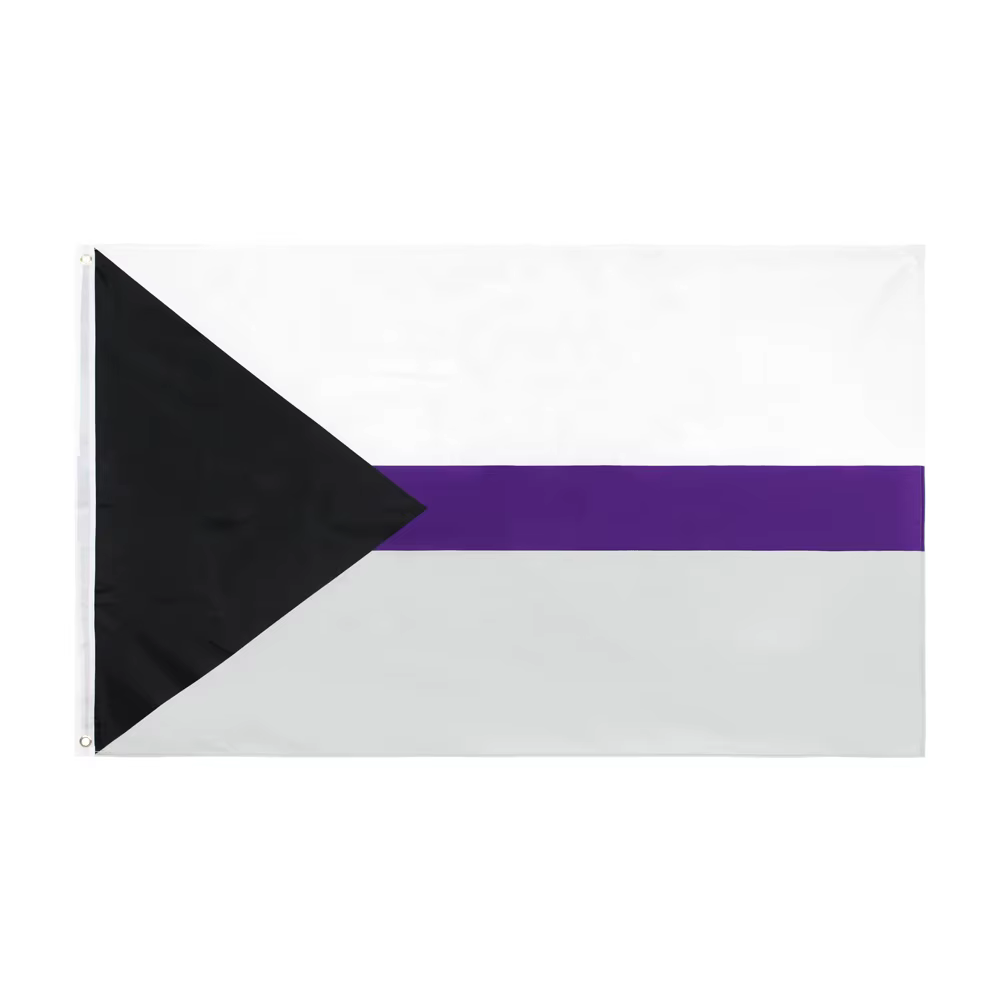 Demisexual Flaga (150x90cm)